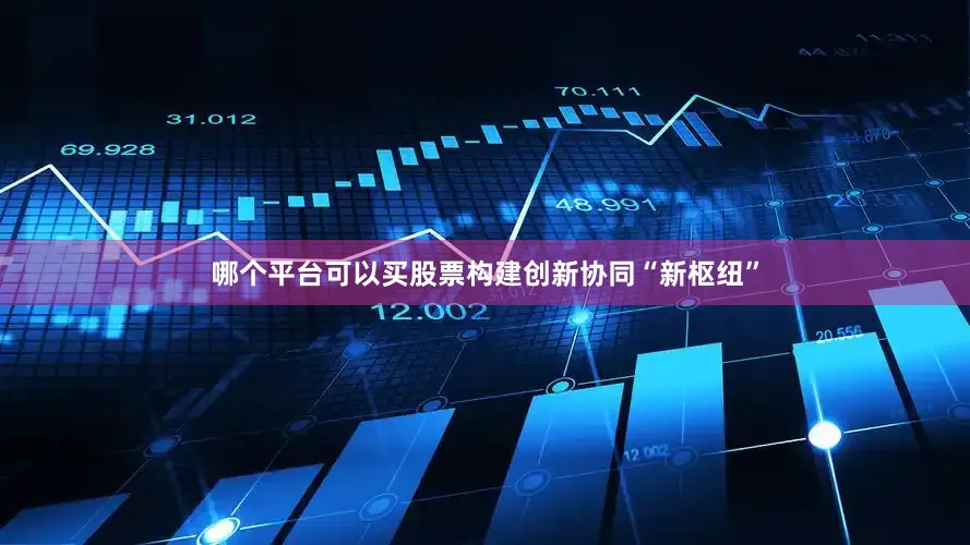 哪个平台可以买股票构建创新协同“新枢纽”